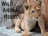 Wild Animal Rescue