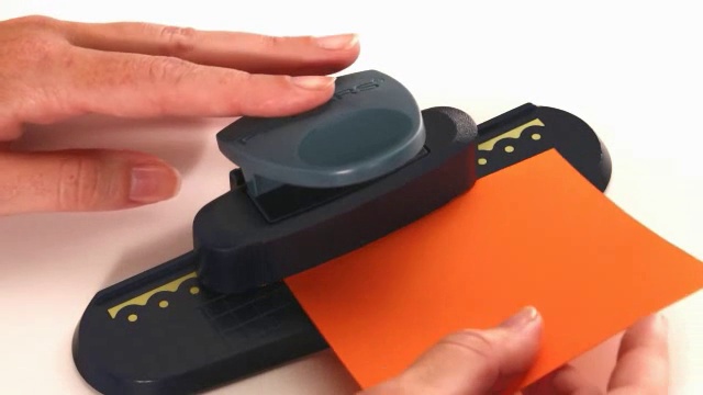 Fiskars 117170-1001 Teresa Collins Texas State Squeeze Punch extra