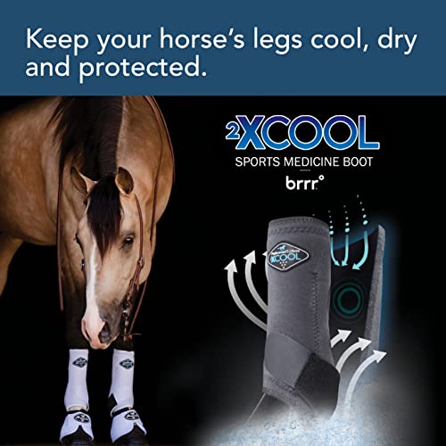 Image of Professional's Choice 2XCOOL Sports Medicine Horse Boots | Protective & Breathable Design for Ultimate Comfort & Durability in Active Horses | Value 4 Pack