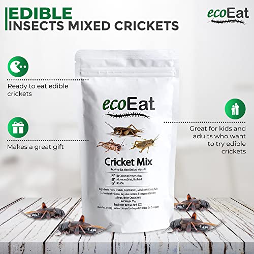 ecoEat Edible Insects Mixed Crickets 15g Bag - Edible Snack Gift - Image 3