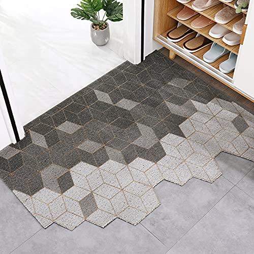 Tapis de Porte D'entrée Intérieur, Découpable Paillasson D'entree Antidérapant pour Trappeur de Saleté, Tapis D'entrée pour Couloir, Chambre à Coucher, Salon, Entrée,H60x120cm Cover