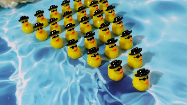 小物 ducks Amazon.com: Barydat 150 Pcs Mini Resin Cowboy Ducks with