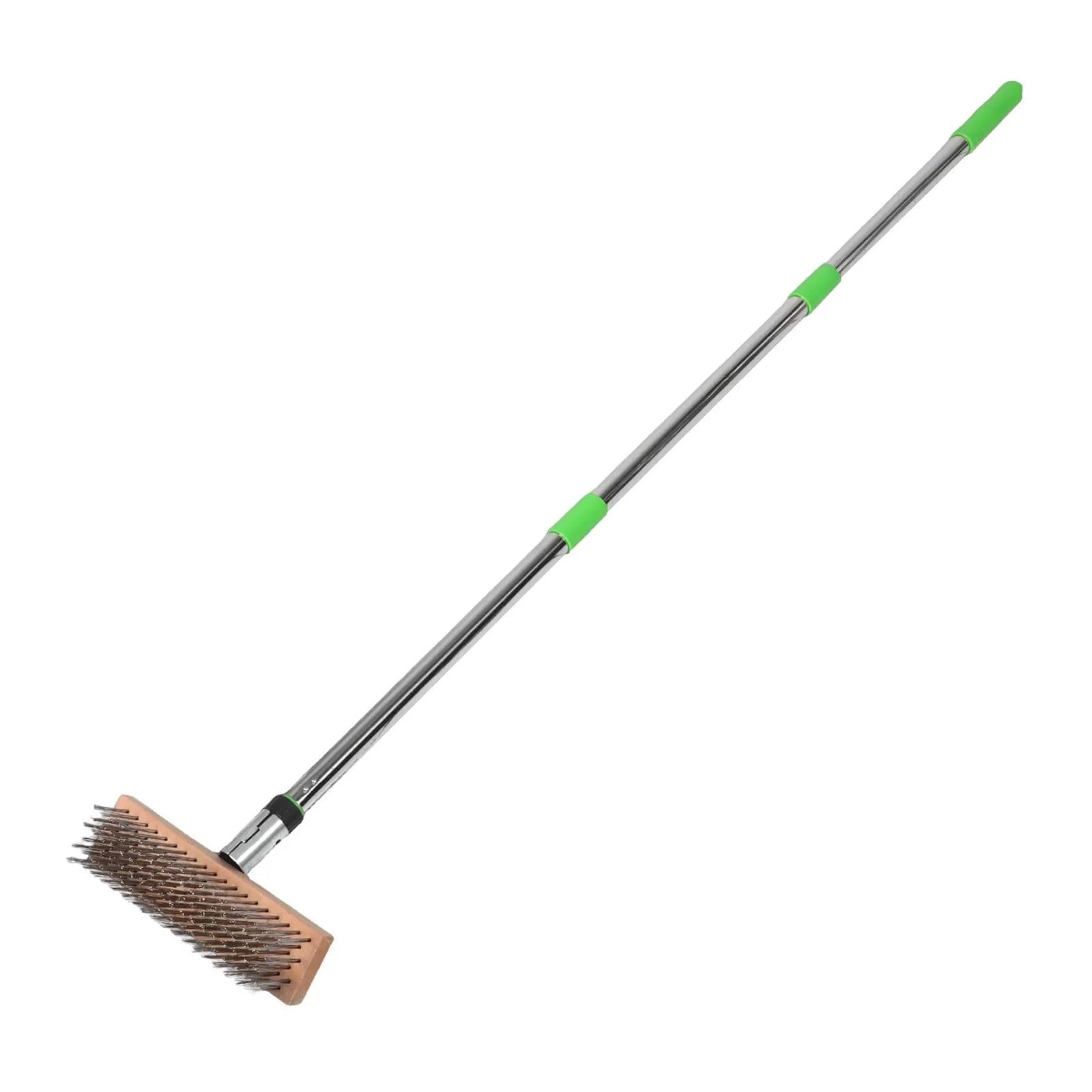 Brosse de Nettoyage Piscine