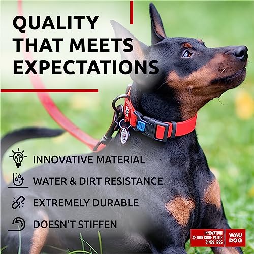 Collar impermeable para perro WAUDOG ajustable miniatura 4