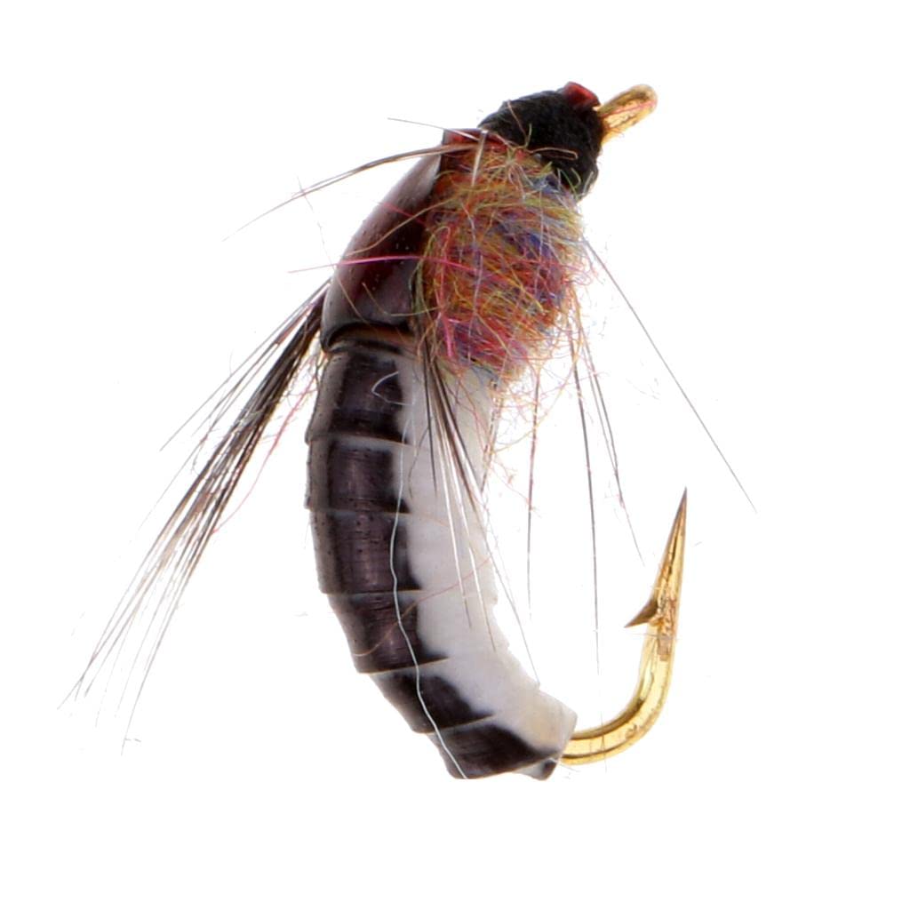 12 goldhead Nymphe mouches de pêche truite, cuivre John, Olive & Orange – Taille 10/12 12 goldhead Nymphe mouches de pêche truite, cuivre John, Olive & Orange – Taille 10/12