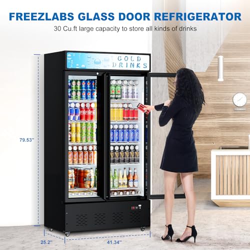Image of Commercial Glass Door Display Refrigerator 30 cu.ft Cooler Commercial Beverage Refrigerators with LED Light and 10 Shelves for Cafe, Restaurant, Store, Bar