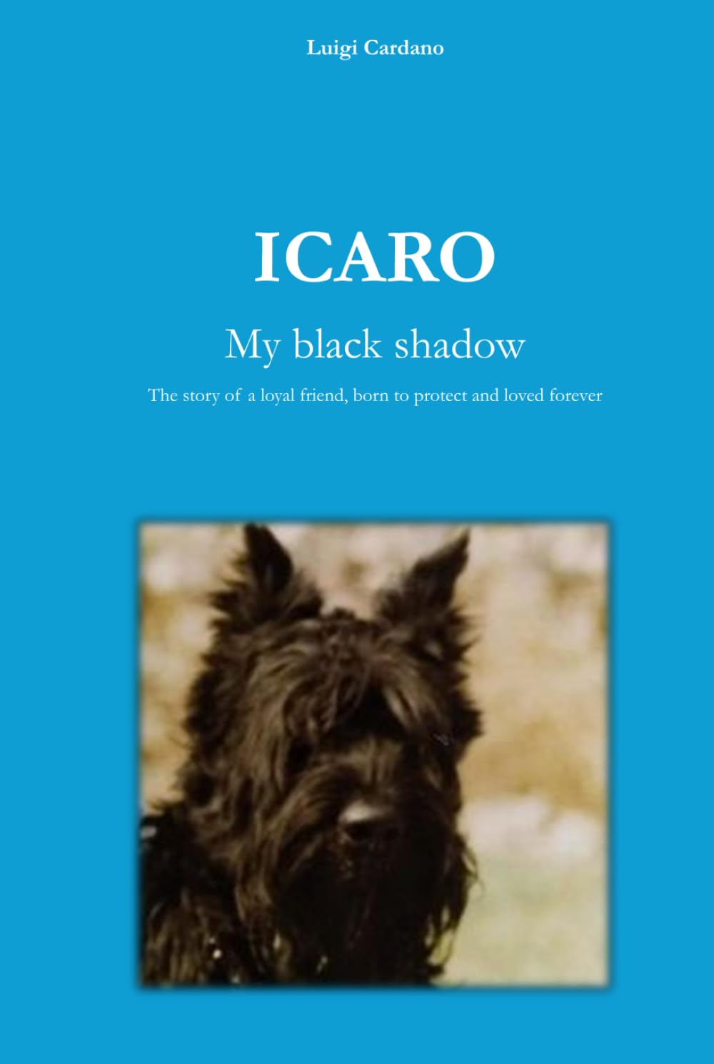 ICARO My black shadow: The story of a loyal friend, born to protect and loved forever