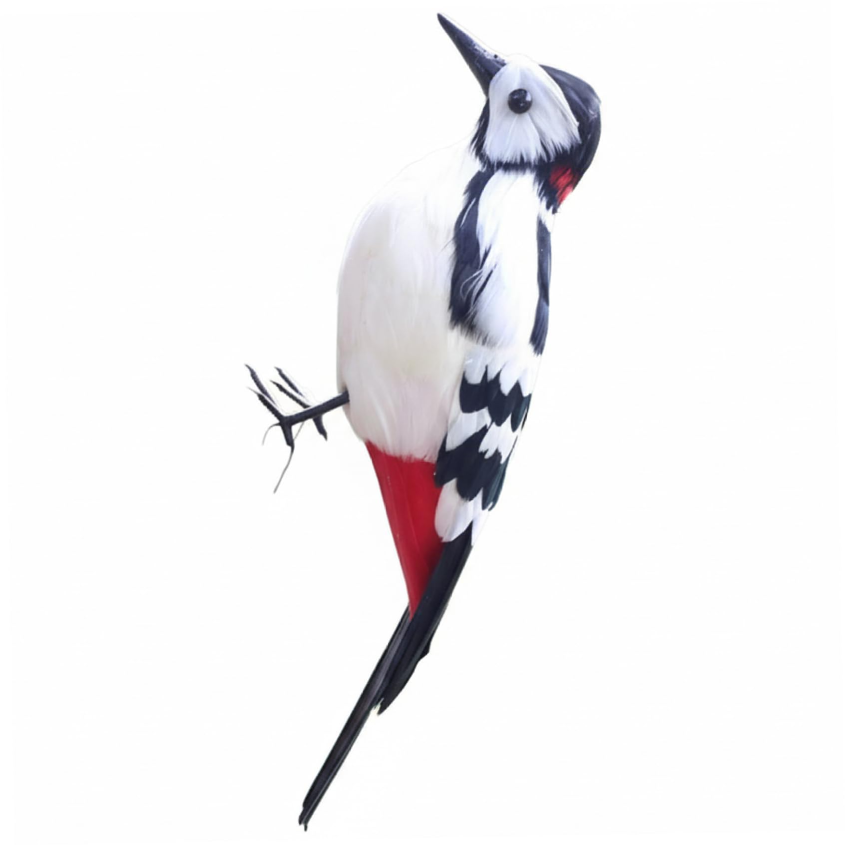 Pic de 12 Pouces avec oiseau réaliste pour sublimer vos balcons