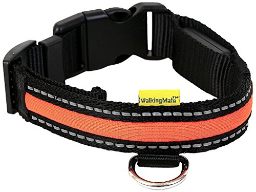 Animate - Collar suave de nylon con luz LED para perros (L) (Naranja)