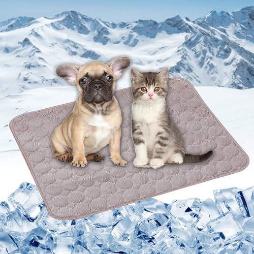 ybgpV[c ⊴ V[cybgЂ}L 62 x 50 cm QWFڐG⊴pWF}ȃGl􂢉MǑ΍Ђ茢LėpNp^^i, J