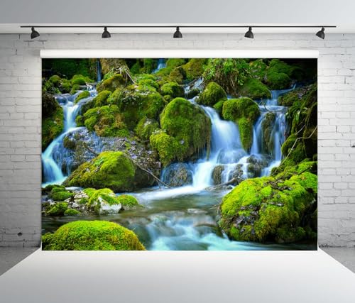 Arrière-plan photographique cascade ruisseau clair paysage forestier