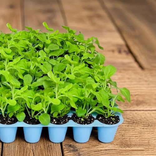 Image of Anandi Green's Reusable Seedling Tray 49 Cavity 1MM Thick Durable Plastic Germination Trays with Drainage Holes Ideal for Seed Starting, Greenhouse, and Indoor Gardening Blue Color Pack of 5