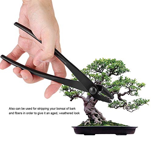 Tbest Pince A Jin Bonsai, Bonsai-Drahtzange aus Manganstahllegierung mit Rundem Ende für den Sicheren Einsatz von Gartenwerkzeugen