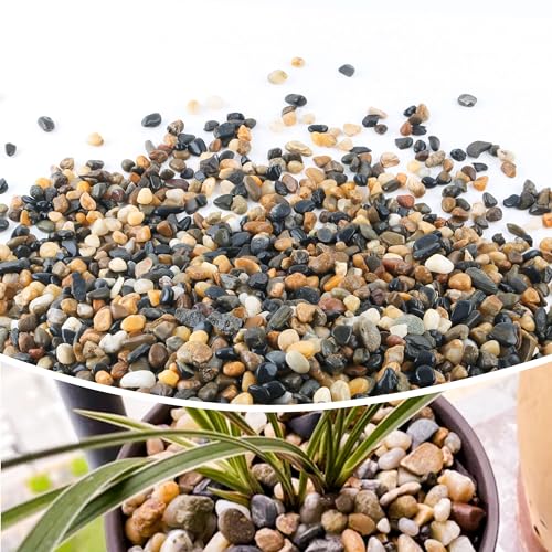 24lb-12-Pebbles-for-Plants-PottingSucculents-Aquarium-Fish-Tank-Vases-Decorative-River-Rocks-Garden-Gravel-Stones