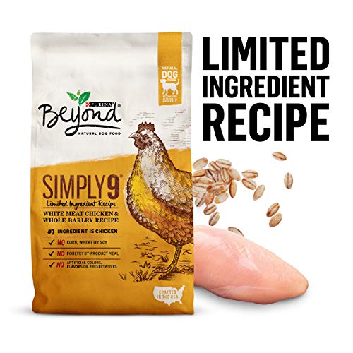 The Best Dry Dog Food Guide 2022 Animal Corner