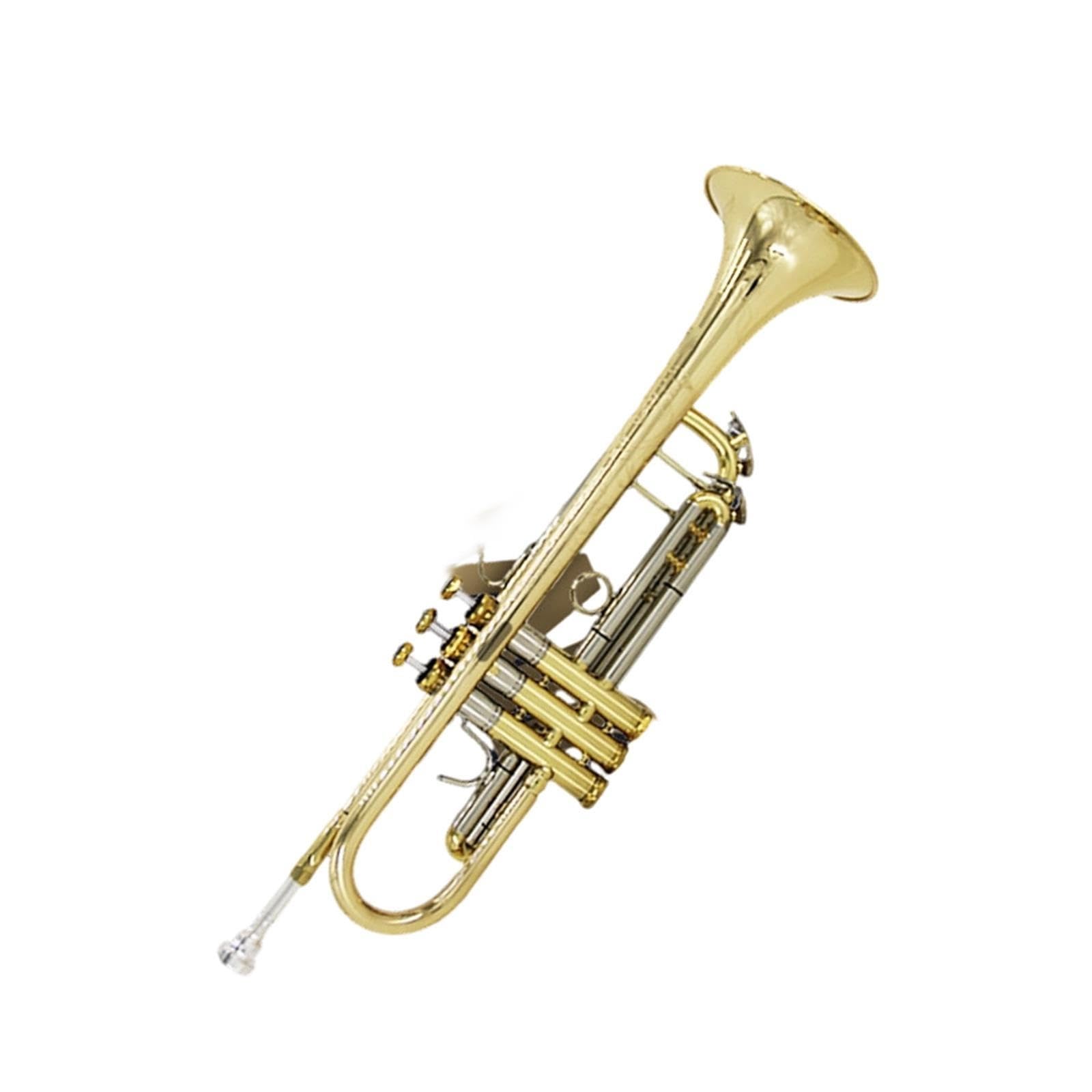 Standard Trumpet Profesjonalne wykonanieTrąbka