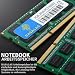 Rasalas 8GB Kit (2 x 4GB) PC3-8500S 1067MHz 1066MHz DDR3 8500 PC3-8500 SODIMM Speicher for Late 2008, Early/Mid/Late 2009, Mid 2010