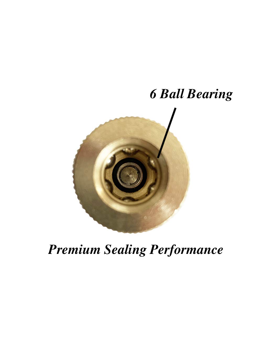 SANFU 1/4 Zoll Messing Female Industrial Kupplung Luftschlauch Fittings NPT Female Schnellverbinder Luftkupplung mit Aufbewahrungskoffer, 10er Pack