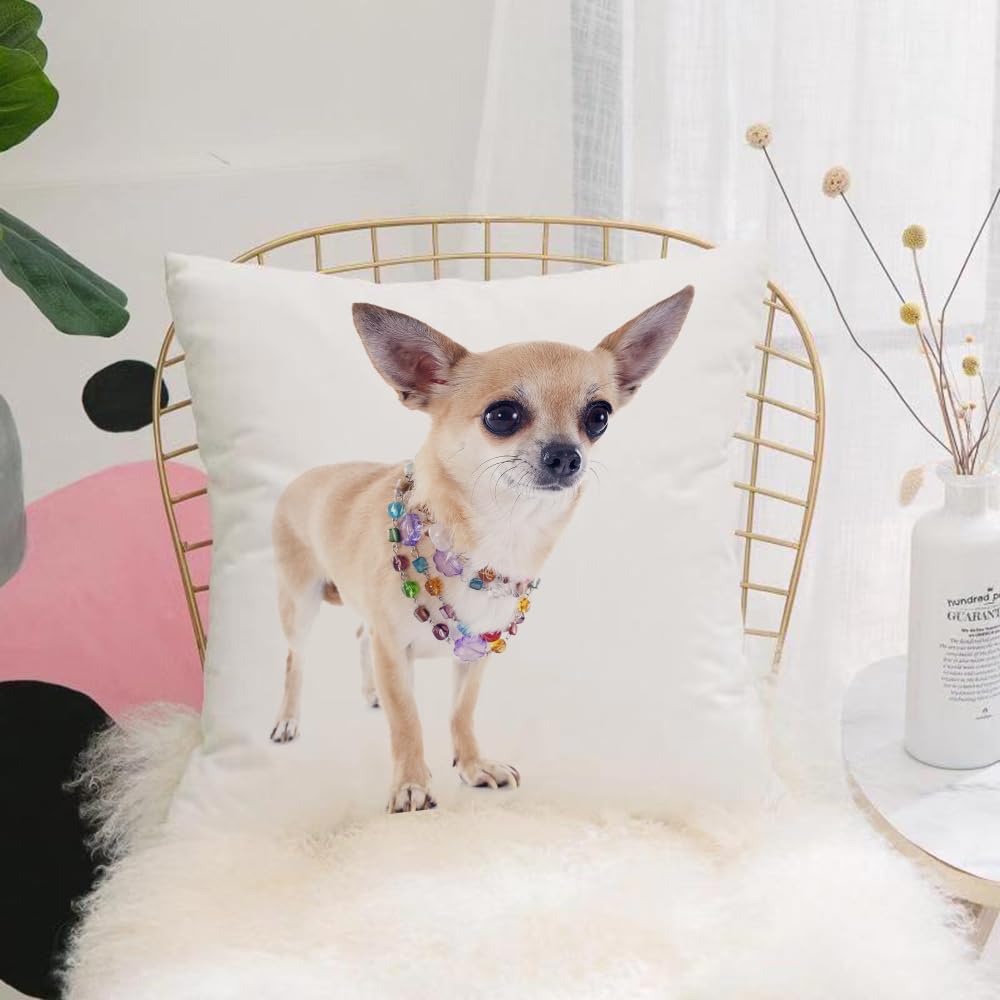 HYOSXW Cushion Cover,Throw Pillow Case Home Decorative for Living Room Bedroom Sofa Chair 16X16 Inch,Animal, cute chihuahua puppy with alert expression, decorated with colorful bea,Pillowcase 40X40cm