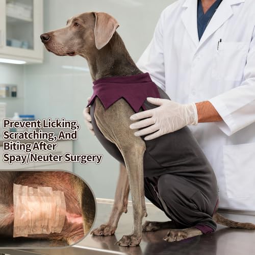 Image of FUAMEY Dog Recovery Suit with Rear Leg Sleeve Dog Onesie After Surgery | Zip-Up Dog Onesies for Female Male Spay Neuter Surgery,Dogs Pants to Prevent Licking Wounds on Thigh Incision Joints Grey XL
