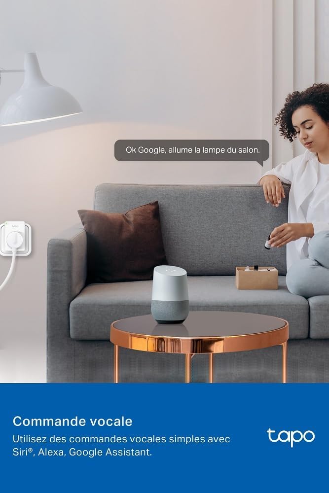 Tapo P110M Prise Connectée WiFi 16A Type E Suivi Consommation Compatible Alexa Google Home SmartThings 2-pack