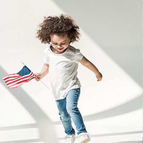 Pack Of 100, Small Us American Handheld Flags, 4X6 Inch Golden Spear Tip, Stick Flags By Crystal Lemon #TOP1