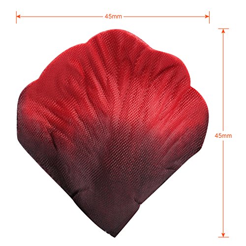 Bebé, Toy Imagen adicional