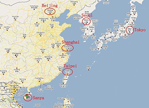 Dried Seafood Sea Cucumber 12 Ounce (340 Grams) From South China Sea Nanhai #TOP3