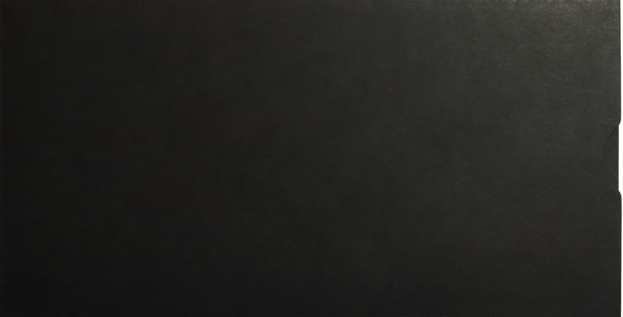 Netuno 100 Sleeve Umschläge Schwarz DIN lang 11,5x22,5 cm