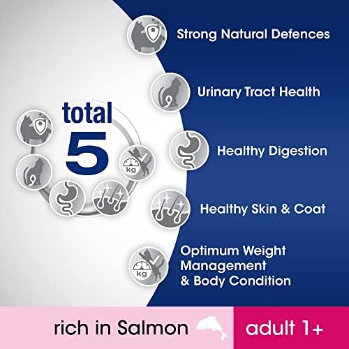 Perfect Fit Dry Cat Food Adult 1+ - Complete Dry Food for Adult Cats from 1 Year Old, Rich in Salmon 7 kg (Pack of 1)
