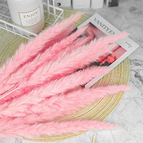 Miniatura 4 de 15 Uds. Natal Pequeñas Pampas Hierba Preservada Flores Flores Decorativas Día de San Valentín Decoración del Hogar Flor Pared Flores Secas - 3 - 15