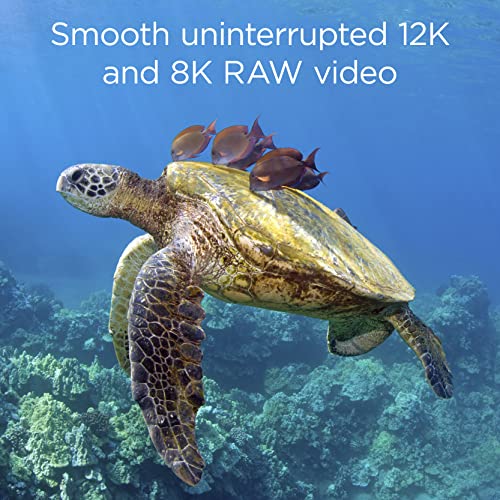 Ficha técnica Integral 2TB 2000GB Tarjeta de Memoria CFexpress Tipo B 2.0 12K y 8K Raw y 8K 120 para cámaras cinematográficas y DSLR avanzadas con Alta Velocidad de Escritura sostenida mínima 1300MB/s - Fernando Cortés