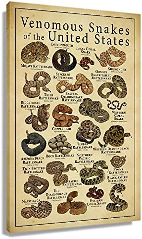 Snakes Identification Poster Knowledge Modern Giclee Canvas Art Picture Vintage Photos Canvas Paintings Poster Wall Decor for Home Decor Artwork Framed 12x18 inch(30x45cm)