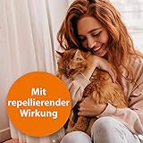 ARDAP Zeckenspray 250ml zur Anwendung am Tier - Bis zu 4 Wochen zuverlässiger, natürlicher & langanhaltender Schutz vor Zecken, Flöhen, Läusen & Milben (PT19)