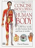 Human Body