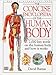 Human Body