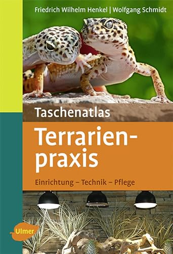 Terrarienpraxis: Einrichtung, Technik, Pflege