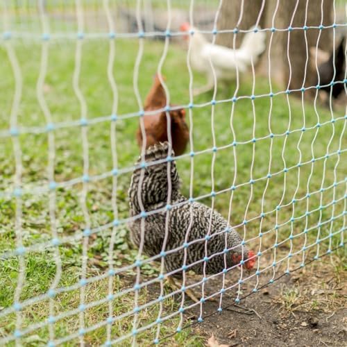 Starkline 42" x 164' Electric Poultry Netting w/Double Spiked Fiberglass Posts (11/42/3) Electric Fence for Chickens in Backyards, on Homesteads, Farms, and Ranches - 2