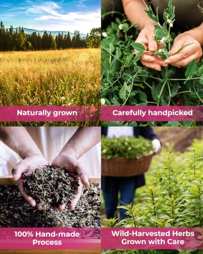 Image of 4 oz. Red Clover Tea Red Clover Herb Dried Blossom Flower Petals (Trifolium Pratense) - 113g Dried Cut Herb Bulk Herbal Tea Trebol Rojo