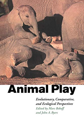 Animal Play view 2