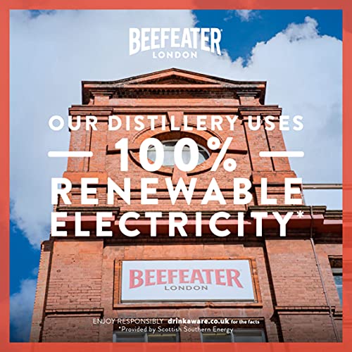 Beefeater London Blood Orange Premium Gin (1 x 0.7 l) – Bild 7