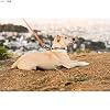 slim leash brilliant copper