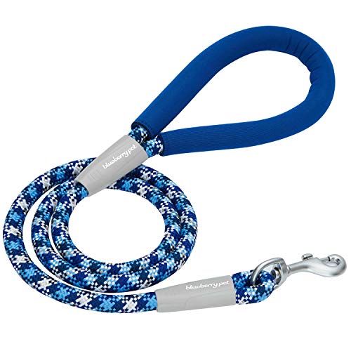 Blueberry Pet 8 Colors Durable 3M Reflective Blue-Tone Dog Rope Leash with Comfy Neoprene Handle, 4 ft, Strong Leashes for Dogs