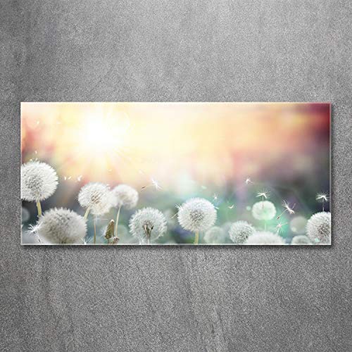 Image panoramique blanche de fleurs sauvages pour décoration murale - 3