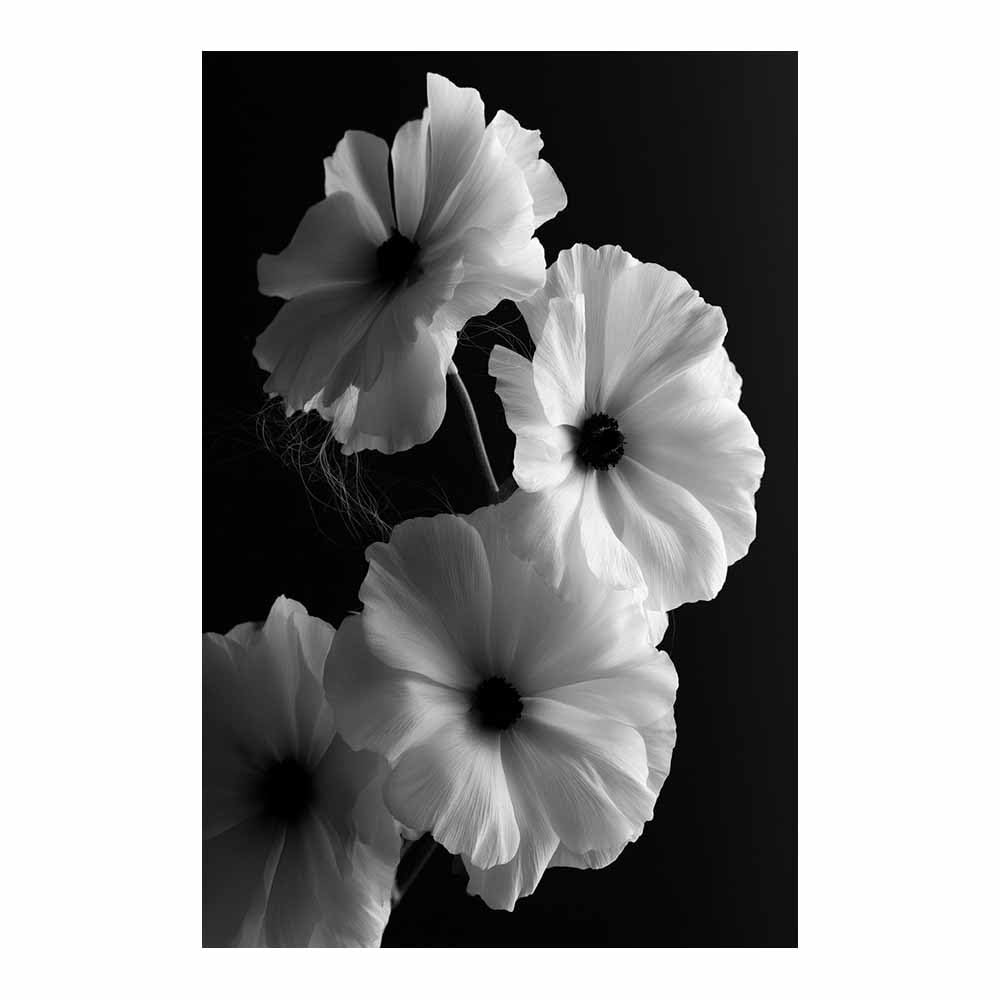 HOQIU Black And White Canvas Pictures Black Whites Poppy Art prints for walls, canvas wall art, for Living Room Bedroom Bathroom Home Office Wall Decoration(Multicolor)-80x120cm Unframed
