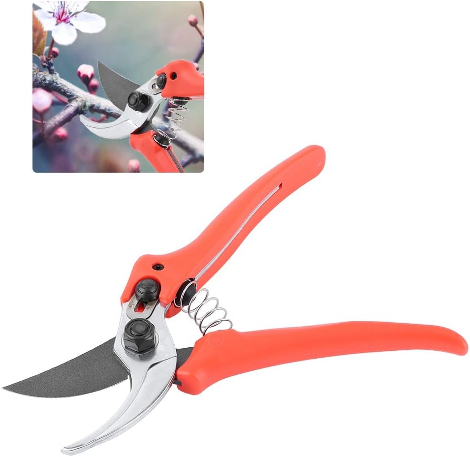 剪定ばさみ 剪定はさみ ガーデニングはさみ はさみ 花用 バーゲンセール 植物用ガーデニングツール 盆栽用 果樹用