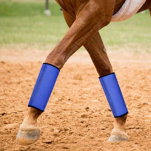 Image of Paterr Set of 24 Mesh Fly Boots for Horse Loose Breathable Mesh Horse Boots Protective Horse Leg Wraps Horse Leggings for Preventing Flies and Mosquitoes Bites