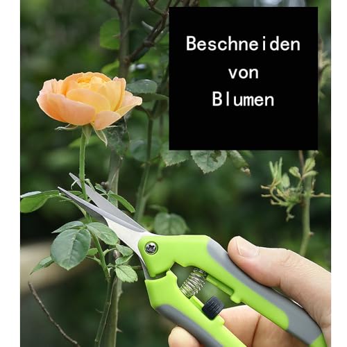 Oneyijun Sécateurs et ciseaux, Secateur de Jardin, Sécateur de Jardinage à Main Ciseaux Bonsai pour Plantes, Fleurs, Branches, Roses, Bonsaïs, Légumes, Fruits (Orange, 1 pièce) – vue 6