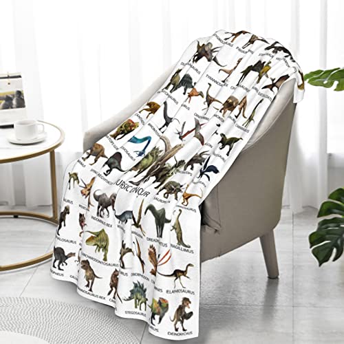 Kids Jurassic World Park Dinosaur Blanket For Boys Girls Room Decor, Cute Cool Dino Toddler Sofa Bed Plush Throw Personalized Blanket, Chiristmas Toys Halloween Birthday Gifts Presents 50X60 Inches #TOP5