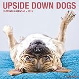 Upside Down Dogs 2019 Calendar